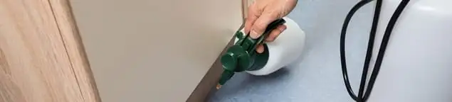 Bed bug exterminator treating baseboards and cracks with targeted spray in Jersey City, NJ