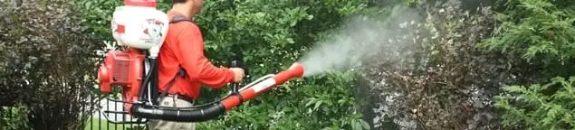 Mosquito control technician fogging shrubs and landscaping for mosquito treatment in Jersey City, NJ
