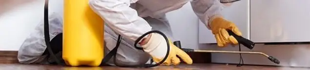 Roach exterminator treating cracks and crevices along kitchen baseboards in Jersey City, NJ
