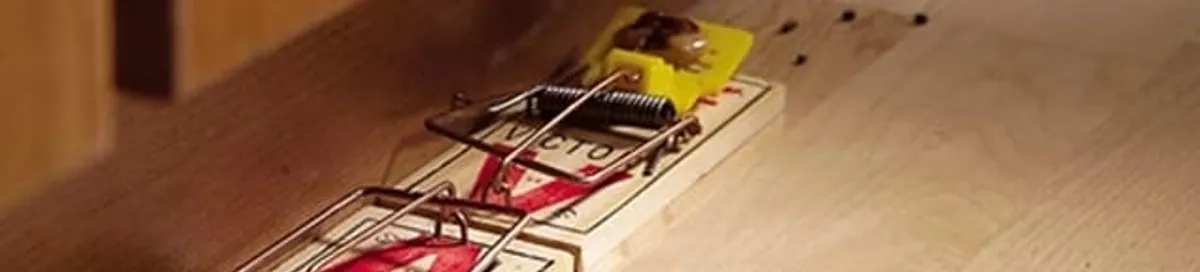 Rodent trap set indoors for rodent control and prevention in Jersey City, NJ