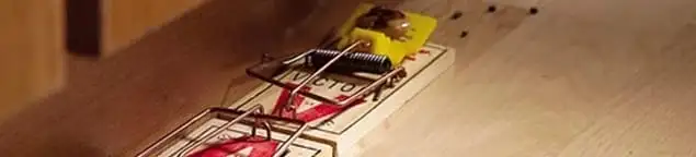 Rodent trap set indoors for rodent control and prevention in Jersey City, NJ